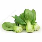 BOK CHOY  