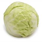 CABBAGE