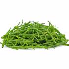SEA BEANS