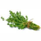 THYME