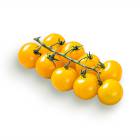 TOMATO CHERRY YELLOW