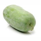 WAX GOURD
