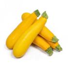 ZUCCHINI YELLOW